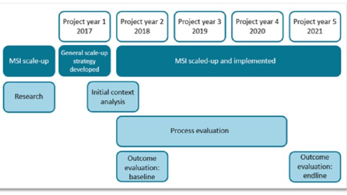 Timeline showing how the MSI and sclae-up research was scheduled