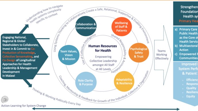 Diagram showing factors being input into human resources for health and potential outputs