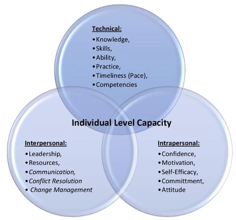 Diagram showing three overlapping blue circles and the words indibidual capacity in the middle