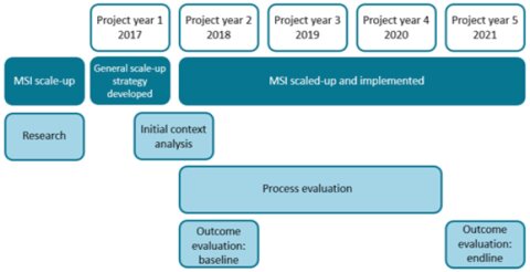 Timeline showing how the MSI and scale-up research was scheduled